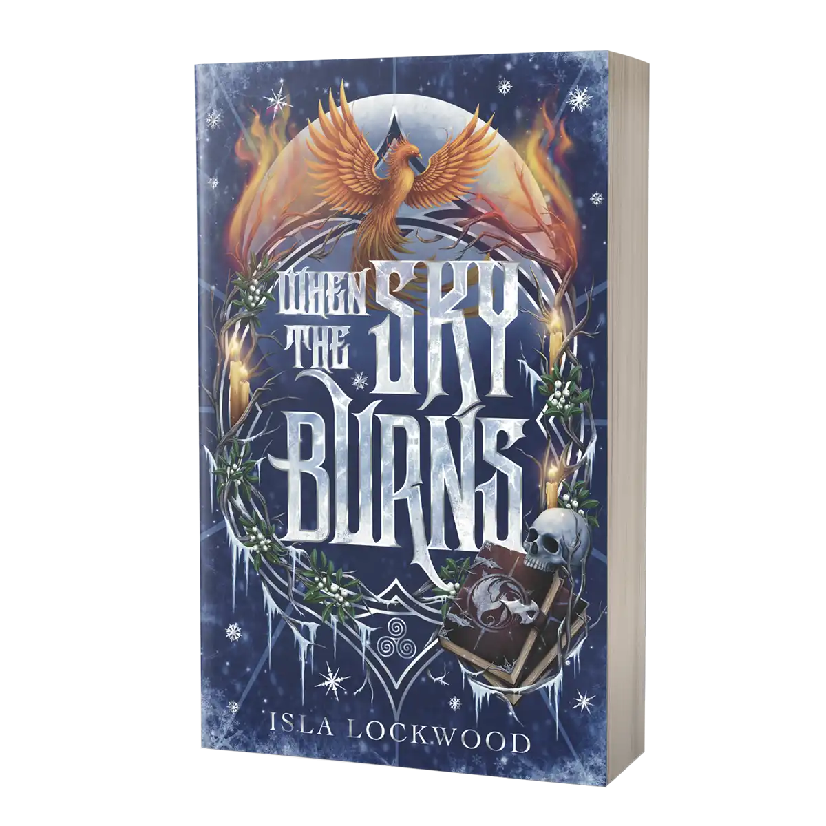 When the Sky Burns paperback - cover