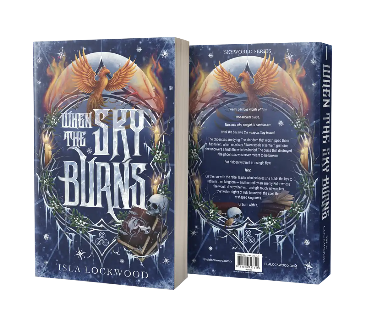 When the Sky Burns Paperback - Image 2